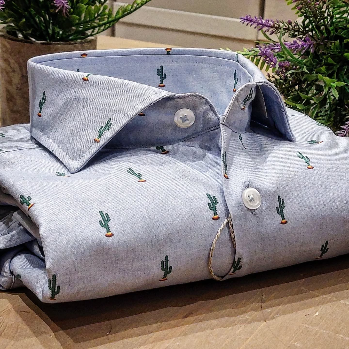 Camicia in Cotone Oxford Pinpoint Fantasia Cactus Verde Fondo