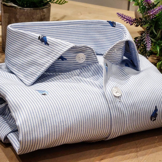 Camicia in Cotone Oxford Pinpoint Fantasia Riga e Pappagallo Fondo Bianco Collo Francese Spread