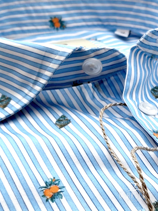 Camicia in Cotone Fantasia Righe Azzurre e Conchiglie Fondo Bianco Collo Francese Piccolo