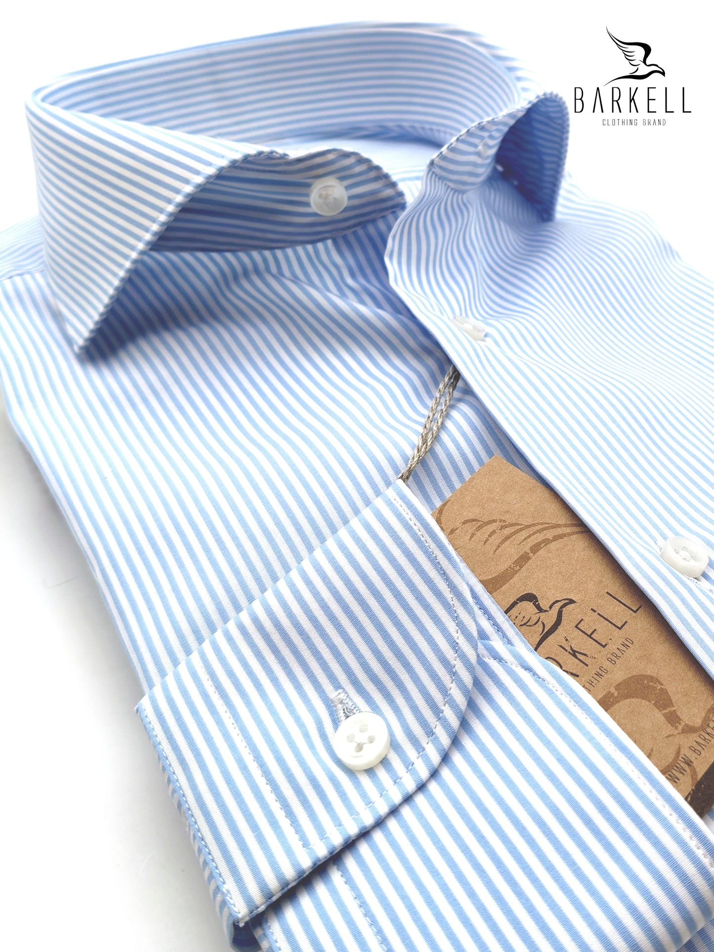 Camicia in Cotone Rigata Bianca e Celeste Collo Francese Spread